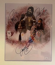 Mick foley dude for sale  Holley