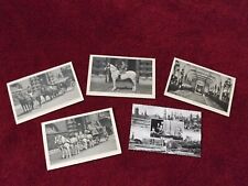 Various vintage royal for sale  PLYMOUTH