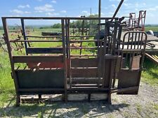 Cattle crush cattle for sale  ROYSTON