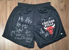 Autogramm chicago bulls gebraucht kaufen  Bamberg