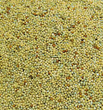 Sourced budgie seed for sale  PETERSFIELD