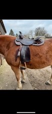 Westernsattel breit gebraucht kaufen  Cottbus-Umland
