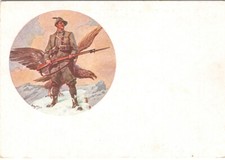 Alpini comando divisione usato  Rovigo