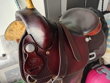cavallo italiano usato cavallo italiano usato Milano