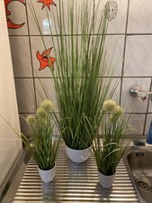 Künstliche pflanzen tischdeko gebraucht kaufen Künstliche pflanzen tischdeko gebraucht kaufen  Duisburg