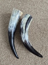 powder horn for sale  NEWARK