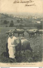 Nièvre nivernais mouton d'occasion  Fruges