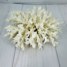 Natural sea coral for sale  Hanover