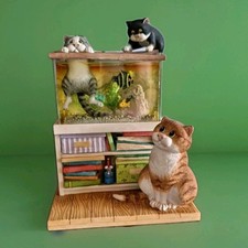 Comic curious cats for sale  THATCHAM