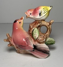 Mama bird feeding for sale  Bartow