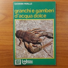 Granchi gamberi acqua usato  Diano San Pietro