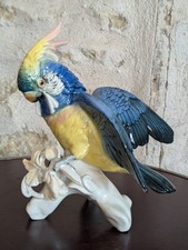 Rare perroquet cacatoès d'occasion  Audincourt