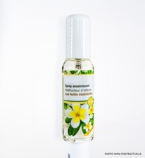 Spray ambiance assainissant d'occasion  Cagnes-sur-Mer