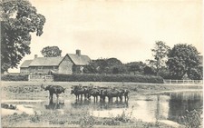 Daventry published thrupp for sale  YORK