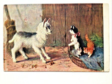 Goat barn cats for sale  Ocala