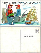 Duck hunting cartoon for sale  Mansfield