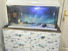 Fish tank aquarium for sale  GRAYS