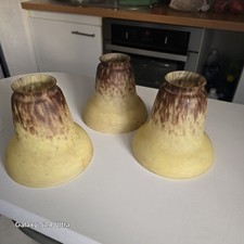 Tulipes pâte verre d'occasion  Bailleul