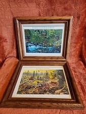 FOLHAS DE SELOS DA NATUREZA DA AMÉRICA, EMOLDURADAS. SÉRIES 1 E 2.  comprar usado  Enviando para Brazil