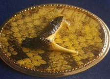 Snake head belt for sale  Las Vegas
