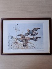 Quadro stampa roberto usato  Morimondo