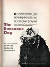 Sensuous dog 1971 for sale  Eugene