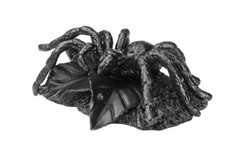 Linda figura colecionável estátua aranha interior ferro fundido Kasli Rússia comprar usado  Enviando para Brazil