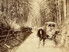 Japan kyoto bamboo d'occasion  Expédié en Belgium