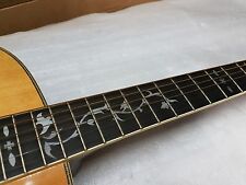 Samick steel string gebraucht kaufen  Deutschland