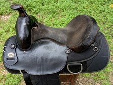Fabtron trail roping for sale  Princeton
