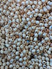 lego flesh head for sale lego flesh head for sale Santa Barbara