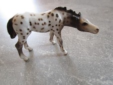 Schleich knabstrupper fohlen gebraucht kaufen  Seevetal