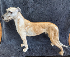 Dresden irish wolfhound for sale  Willis
