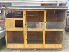Aviary flight bird for sale  MELTON MOWBRAY