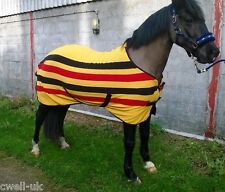 Cwell equine horse for sale  SLOUGH