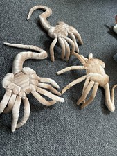 Alien facehugger plush for sale  NEWTOWNARDS
