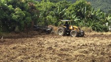 Tractor for sale  Jamaica