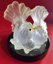 couple pigeon d'occasion couple pigeon d'occasion  Louveciennes