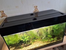 Aquariumabdeckung flap klappde gebraucht kaufen  Senftenberg