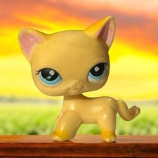 Littlest pet shop for sale  Jacksonville