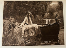 1901 lady shalott for sale  TORRINGTON