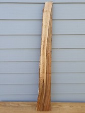 Wn0019 english walnut for sale  LYMINGTON