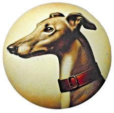 Greyhound whippet grosser gebraucht kaufen  Versand nach Germany