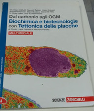 Dal carbonio agli usato  Lumezzane