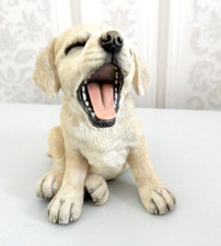 Labrador dog puppy for sale  UK
