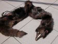 Echter rotfuchs pelz gebraucht kaufen  Greifenstein