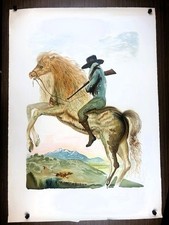 art fine figurative for sale art fine figurative for sale Phoenix