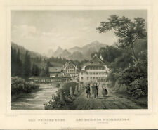 Weissenburg simmental bern gebraucht kaufen  Deutschland