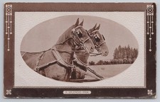 Edwardian horses postcard for sale  MANCHESTER