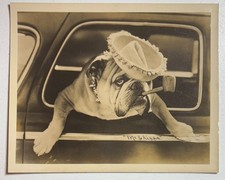 Cachimbo fotográfico vintage anos 1930–40 Mr. Chipps Bulldog inglês sombrero e colar cravado, usado comprar usado Cachimbo fotográfico vintage anos 1930–40 Mr. Chipps Bulldog inglês sombrero e colar cravado, usado comprar usado  Enviando para Brazil